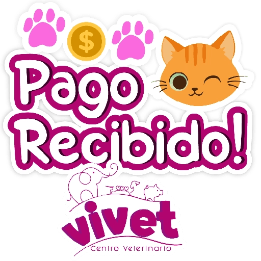 Vivet frases 10