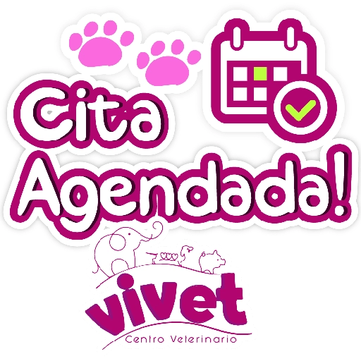 Vivet frases 11