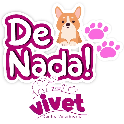 Vivet frases 12