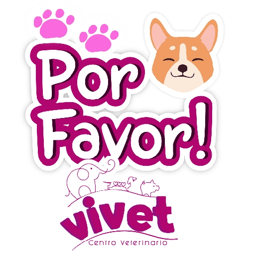 Vivet frases 13