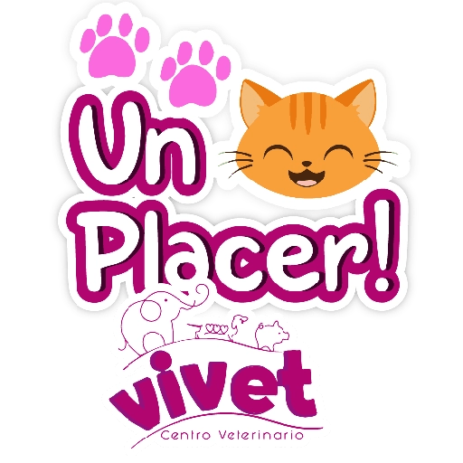 Vivet frases 14
