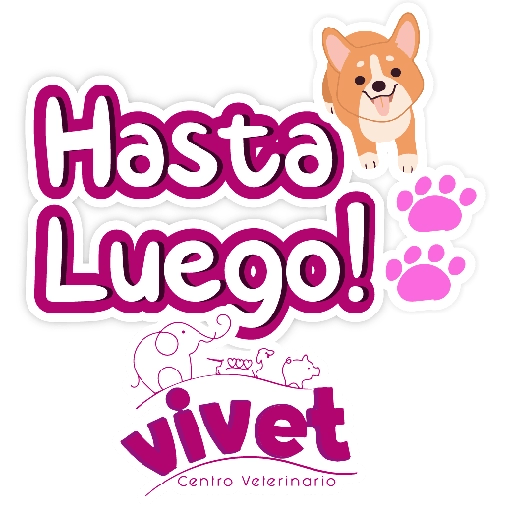 Vivet frases 18