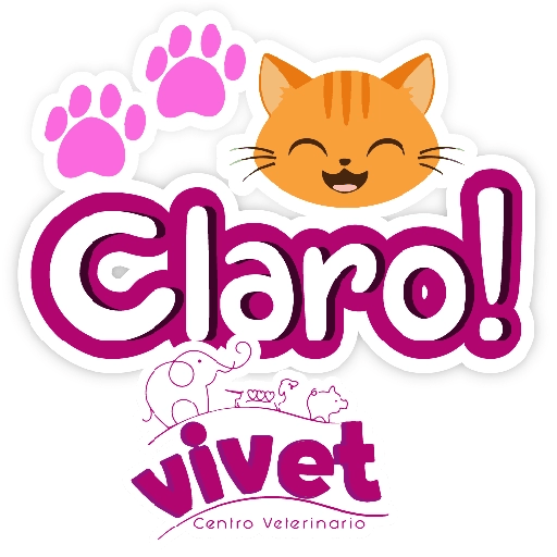 Vivet frases 19