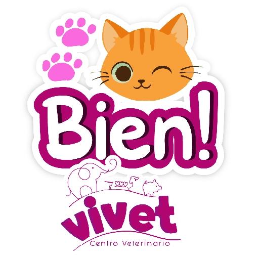 Vivet frases 23