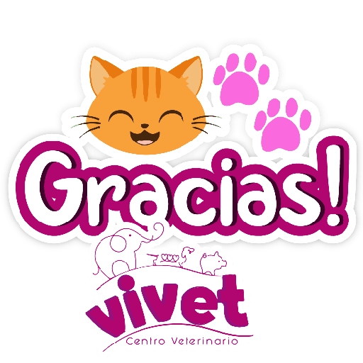 Vivet frases 24