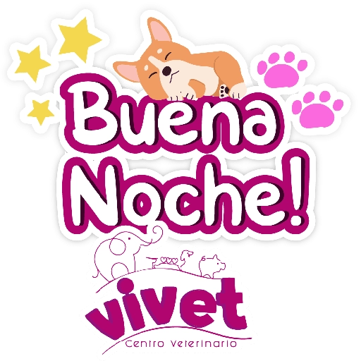 Vivet frases 25