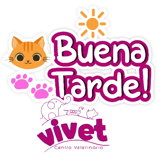 Vivet frases 26