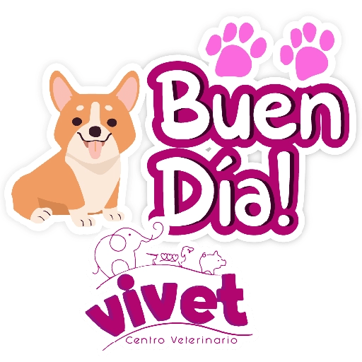 Vivet frases 28