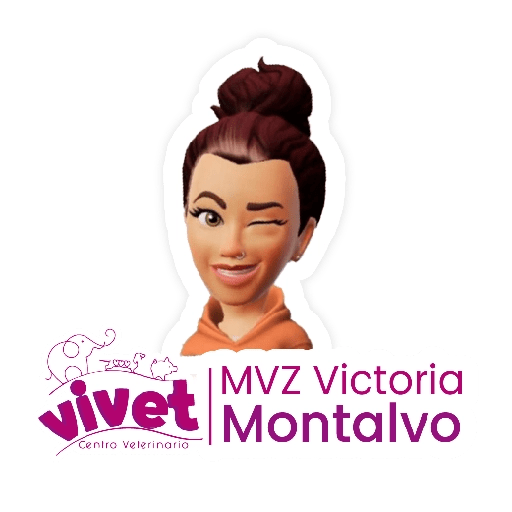 Vivet frases 29