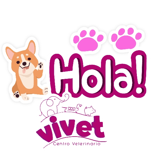 Vivet frases 27