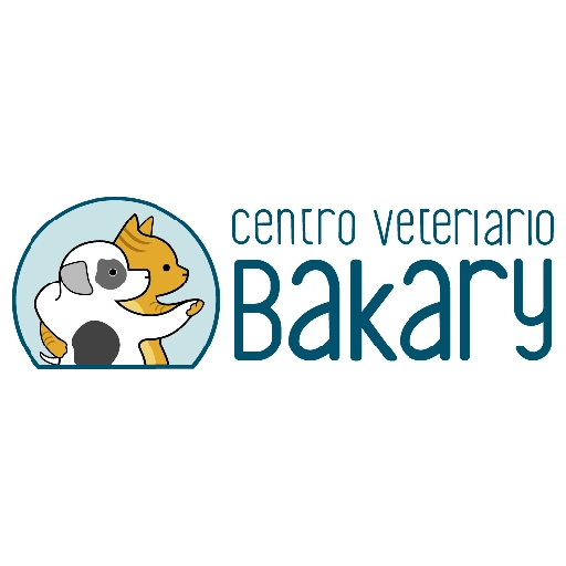 Bakary frases