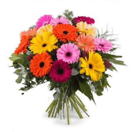 Hoy te traje flores 3