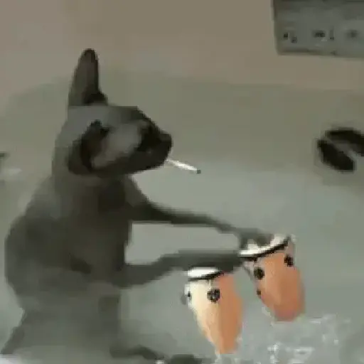 Doja cat 🦔 10
