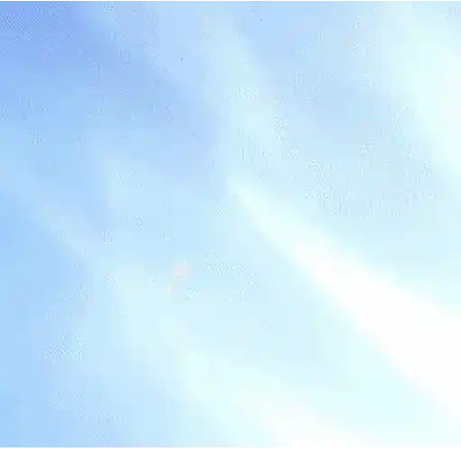 2023 news 5
