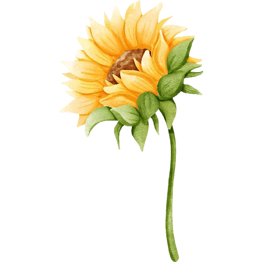🌻🧺🌼☘️