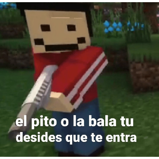 Quackity  22