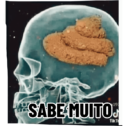 Inter 6
