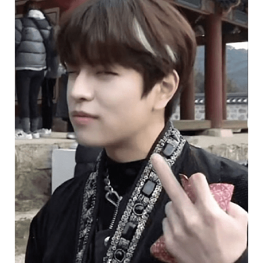 Stray kids  7