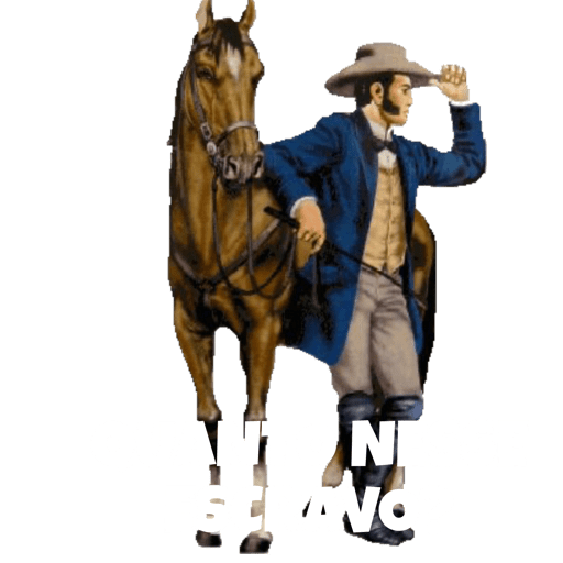 Novos 14