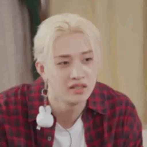 Stray kids 25 19