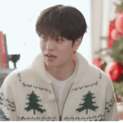 Stray kids 25 14