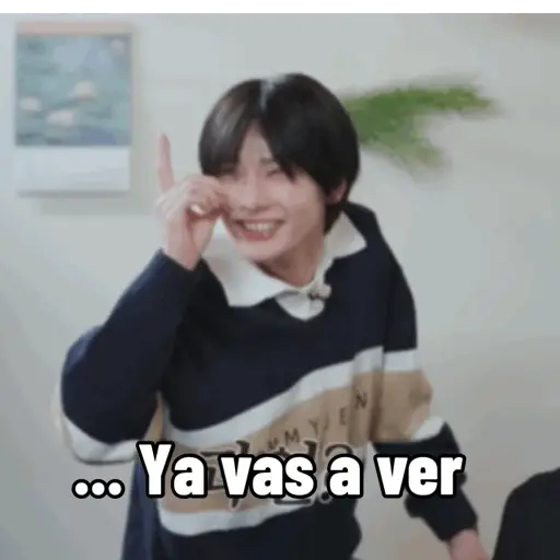 Stray kids 25 11
