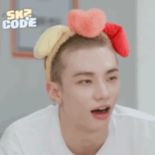 Stray kids 25 8