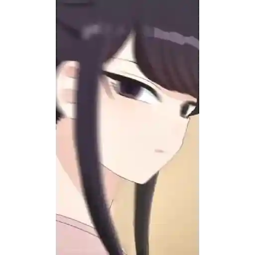 Komi 3