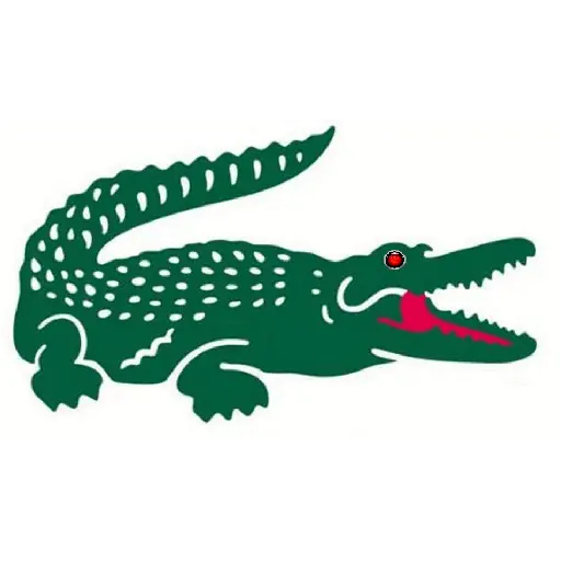 REI LACOSTE 6