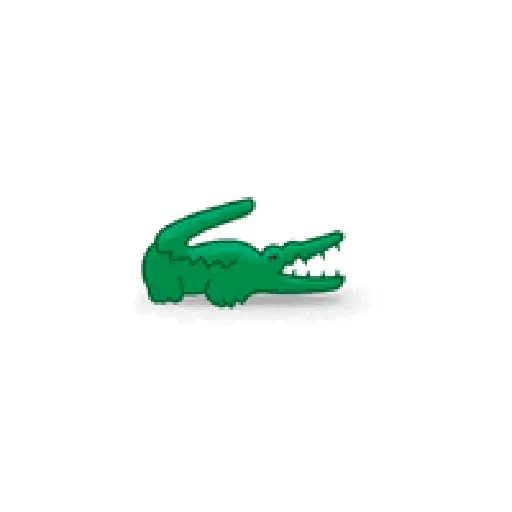 REI LACOSTE 15