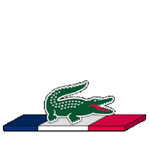 REI LACOSTE 28