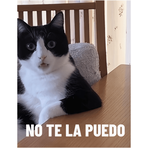 Mis pegatinas 4