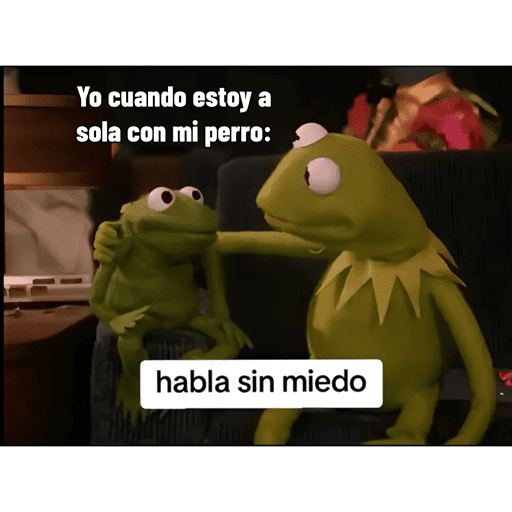 Mis pegatinas