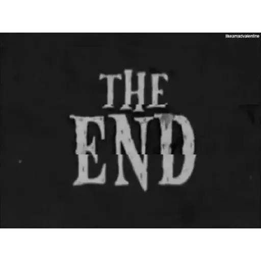 Fin