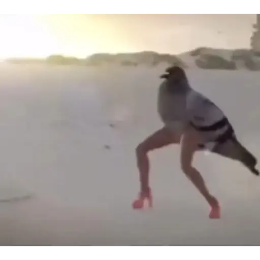 IDKBRO 3