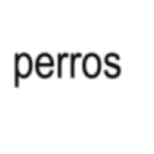 Texto brat 24