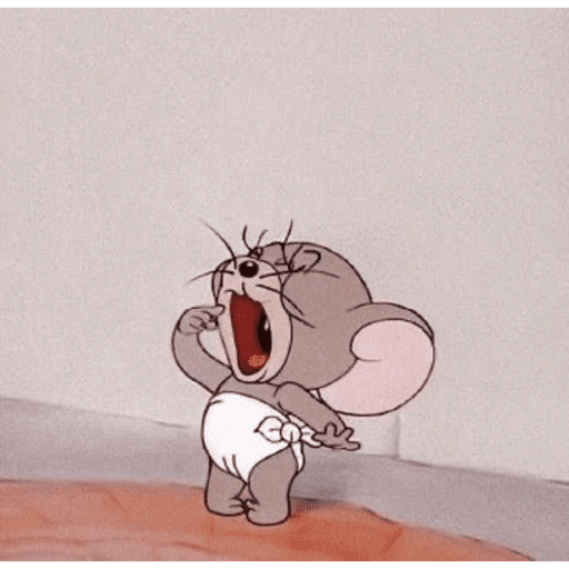 Ratonnn 14