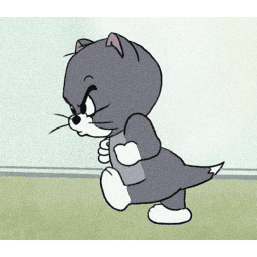 Ratonnn 12
