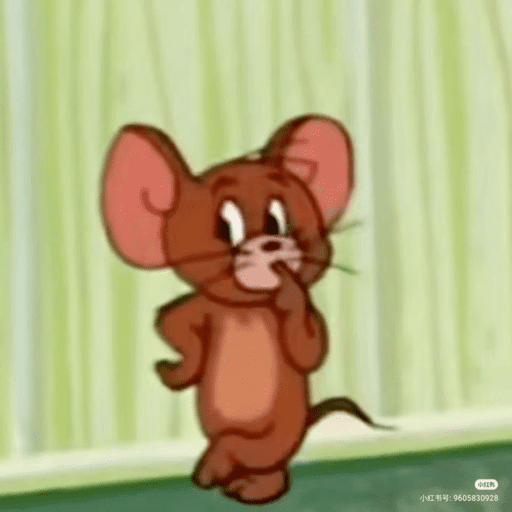 Ratonnn 19