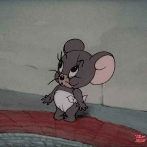 Ratonnn 15