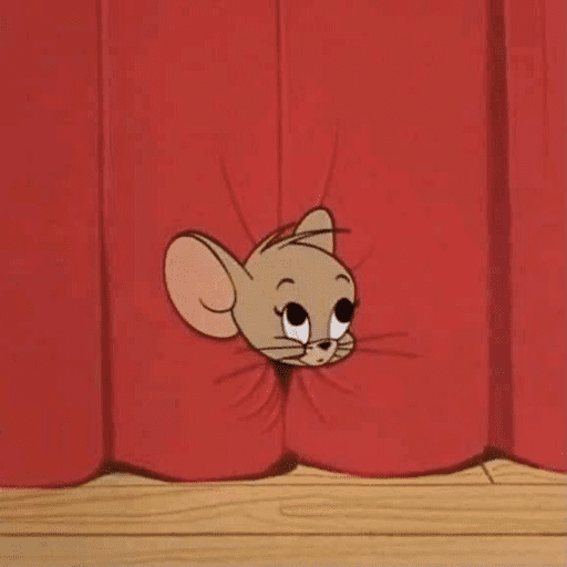 Ratonnn 17