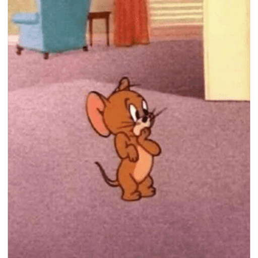 Ratonnn 8