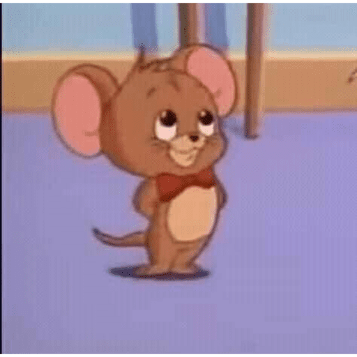 Ratonnn 11