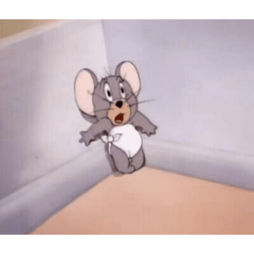 Ratonnn 13