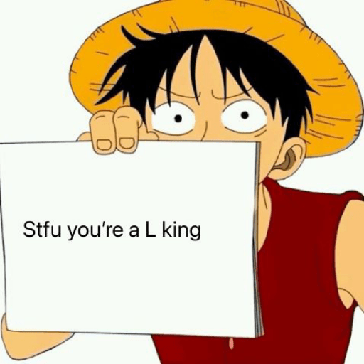 One piece 13