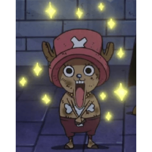 One piece 15