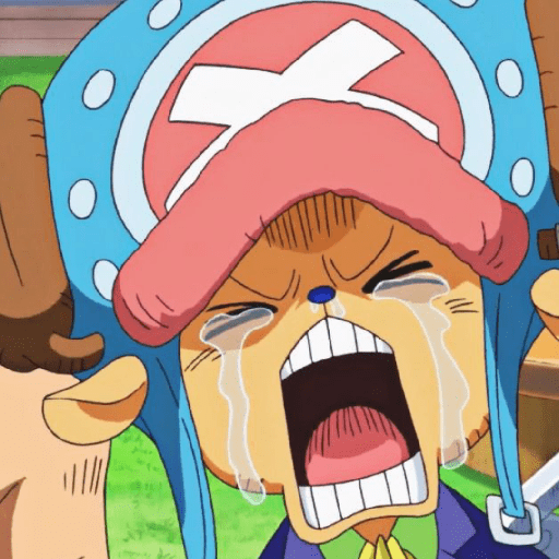 One piece 16