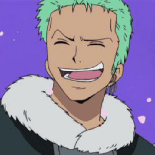 One piece 29