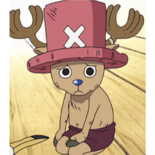 One piece 17