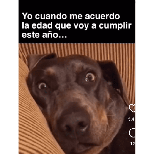 Nuno  18